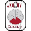 https://img.7caijia.com/img/basketball/team/4b06fe02aaa7da5901e5698485059da0.png